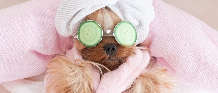 img-postgrid3_cropped_762x502 img-postgrid3_cropped_762x502