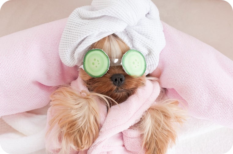 img-postgrid3_cropped_762x502